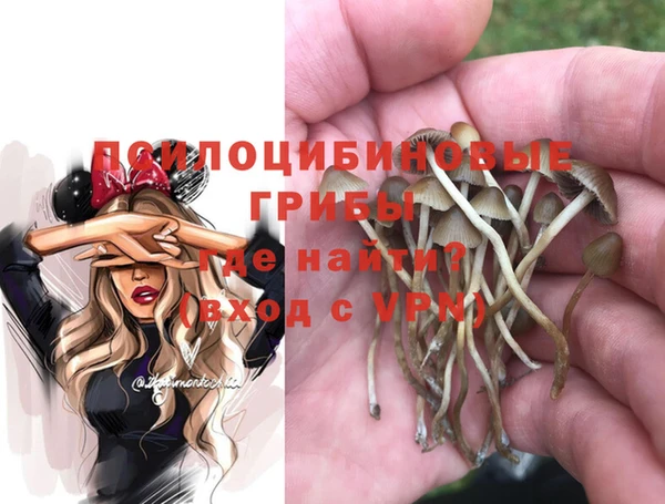 метадон Арсеньев